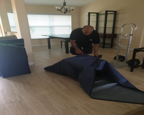 Estero Packing Movers