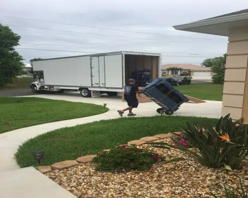 Memphis Furniture-Assembly Movers